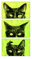 A Study of Cat\'s Ears